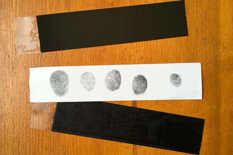 Disposable Fingerprint Pads